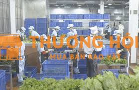 [ĐÀ NẴNG] TUYỂN PHỤ KHO SƠ CHẾ BHX TĂNG CA 40K/H