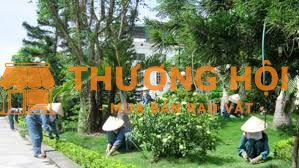 05 Nhân viên chăm sóc cây xanh