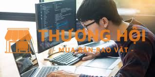 Junior Manual Tester