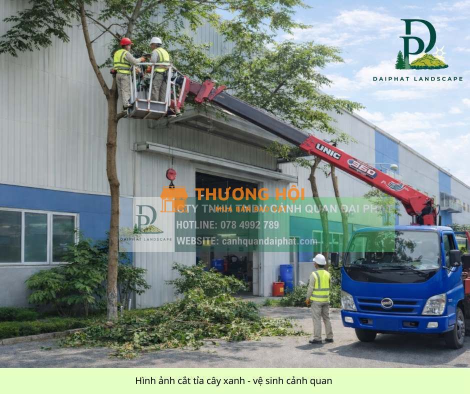 Dịch Vụ Cắt Tỉa Cây Xanh Nhà Xưởng – Khu Công Nghiệp Đồng Nai, TP.HCM, Bình Dương, Long An