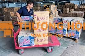 Tuyển 1 nhân viên kho vận, yêu cầu có bằng lái xe và biết lái xe ô tô