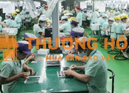 XKLD Nhật Bản đơn hàng lắp ráp linh kiện điện tử