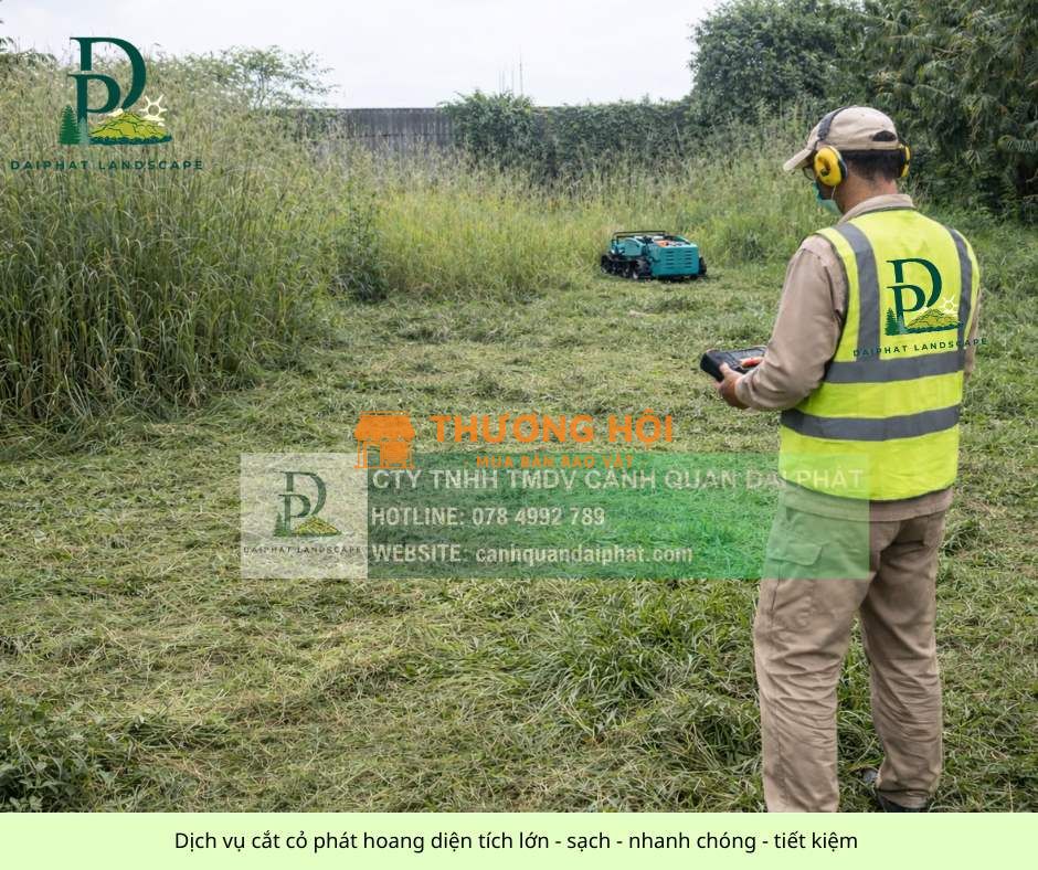 DỊCH VỤ CẮT CỎ – PHÁT HOANG DIỆN TÍCH LỚN GIÁ CẠNH TRANH TẠI MIỀN NAM
