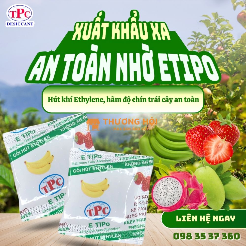 Gói hút khí Ethylene – Giải pháp kéo dài thời gian bảo quản trái cây xuất khẩu