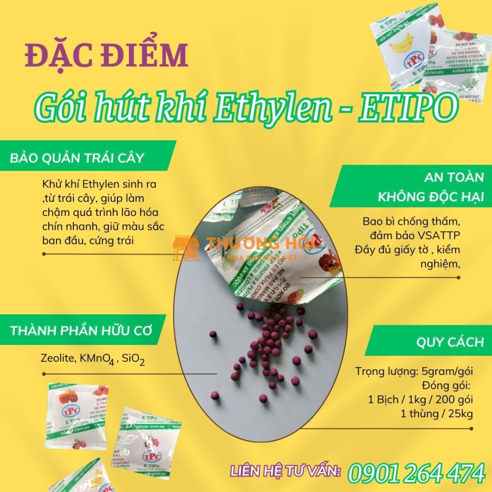 Cách giúp trái cây chậm chín, giúp hỗ trợ xuất khẩu đi xa