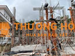 cần gấp ae thợ và phụ cốt pha