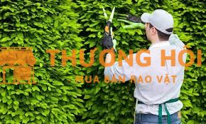 Tuyển dụng nhân sự chăm sóc cây xanh. Việc ổn định