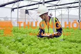 Cần 10 nữ kỹ sư tham gia phỏng vấn đơn hàng kỹ sư nông nghiệp Nhật Bản