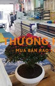 TUYỂN NHÂN VIÊN BÁN CHĂN GA GỐI NỆM KÉT SẮT