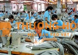 TUYỂN 50 CÔNG NHÂN MAY TẠI LONG AN ĐỨC HOÀ