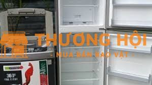 Tủ lạnh Casper Inverter 270L , máy giặt LG Inverter 16kg