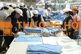 Nhân viên kiểm tra chất lượng sản phẩm