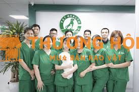 [THANH HÓA] PETHEALTH TUYỂN NHÂN VIÊN GROOMING