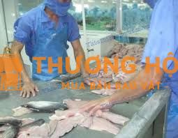 Công nhân phi lê cá tra