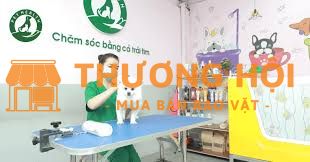 [THÁI NGUYÊN] PETHEALTH TUYỂN NHÂN VIÊN GROOMING