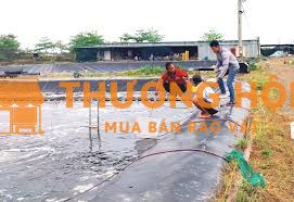 Cần tuyển công nhân nuôi cá tra ao đất