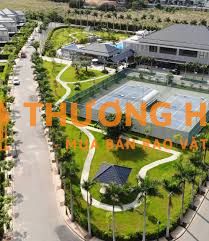 LĐPT bảo dưỡng và chăm sóc mảng xanh làm việc tại các quận TPHCM