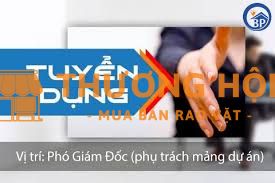 Tuyển dụng Phó Giám đốc phụ trách kỹ thuật, Ban QLDA & Phòng KHĐT