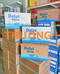 Nhà phân phối An An Trương chuyên sữa Đà Lạt tuyển giao hàng bằng oto