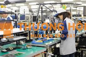 XKLD Nhật Bản đơn hàng sản xuất linh kiện ô tô