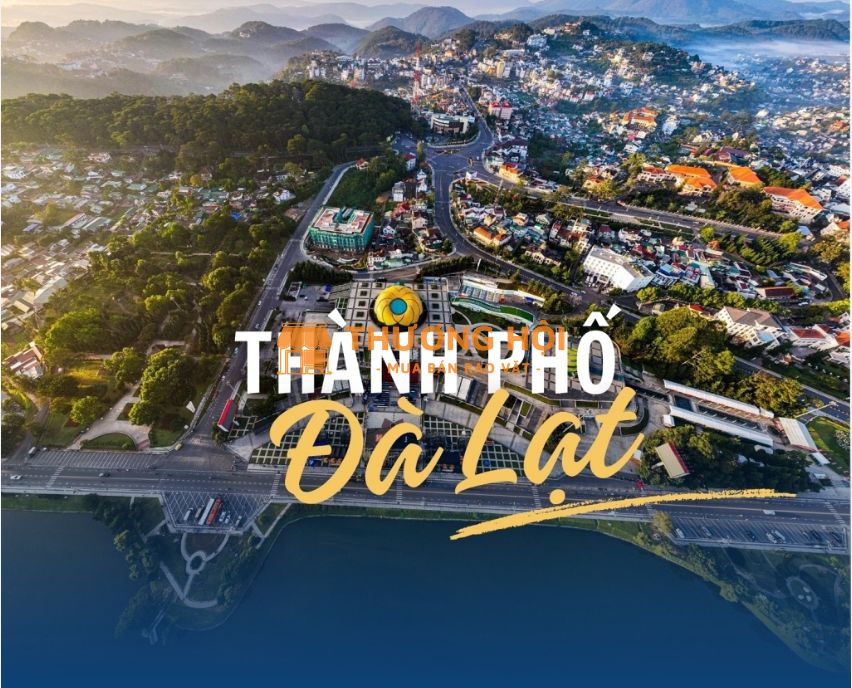 TOUR ĐÀ LẠT – VƯƠNG QUỐC NGÀN HOA 3N3Đ – TRẢI NGHIỆM XỨ SỞ THÔNG REO 🌸🌲