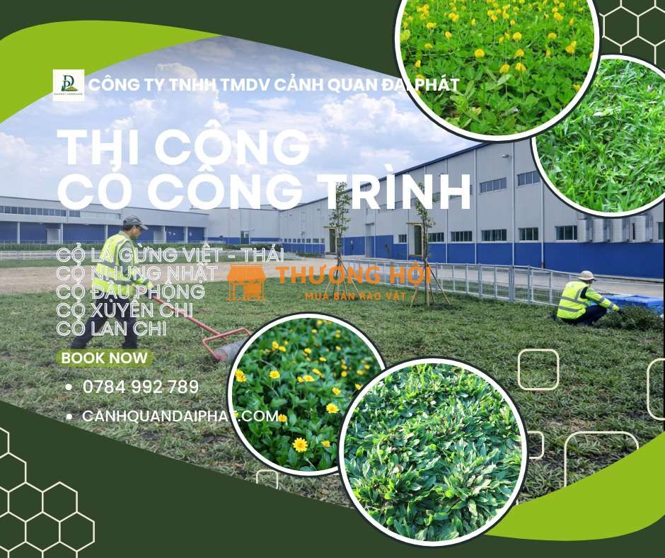 TRỒNG CỎ CÔNG TRÌNH KCN BÌNH DƯƠNG – THI CÔNG NHANH, GIÁ TỐT