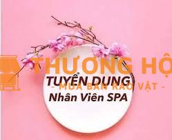 Spa Hoa Mai tuyển kỹ thuật viên giỏi bấm huyệt, lương hoa hồng cao