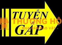 CẦN TUYỂN 05 LDPT - BAO ĂN Ở- TÂN UYÊN