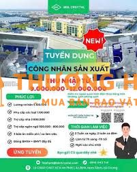 Tuyển dụng Công ty Biel Hải Dương