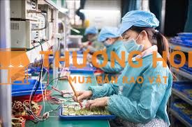 TUYỂN LAO ĐỘNG ĐI LÀM NGAY