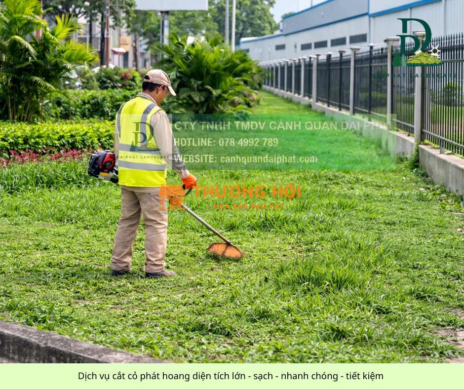 DỊCH VỤ CẮT CỎ – CƯA CÂY KCN NHƠN TRẠCH, ĐỒNG NAI