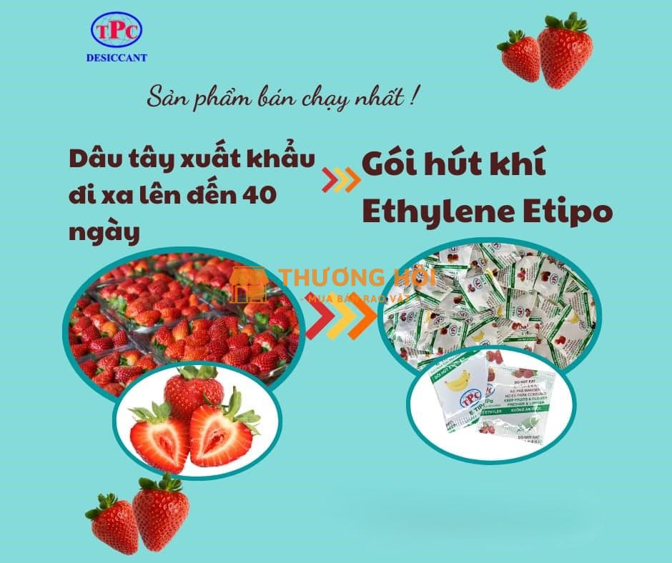 Bảo quản trái cây bằng gói hút ethylene Etipo có hiệu quả không?