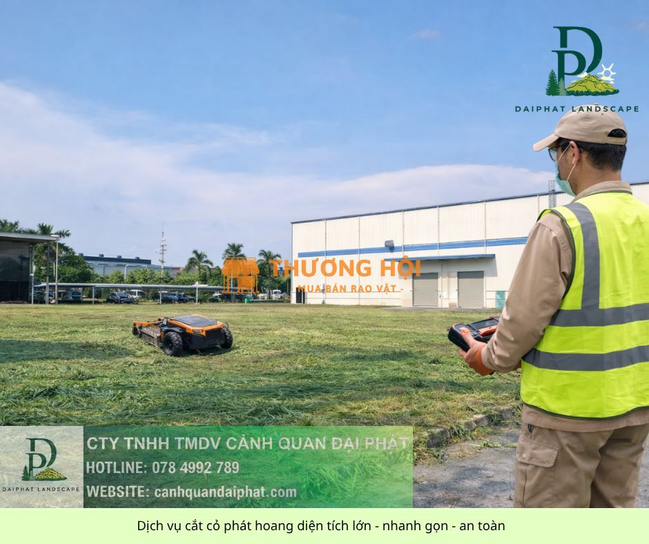 DỊCH VỤ CẮT CỎ CÔNG TY – NHÀ XƯỞNG TẠI LONG THÀNH, ĐỒNG NAI