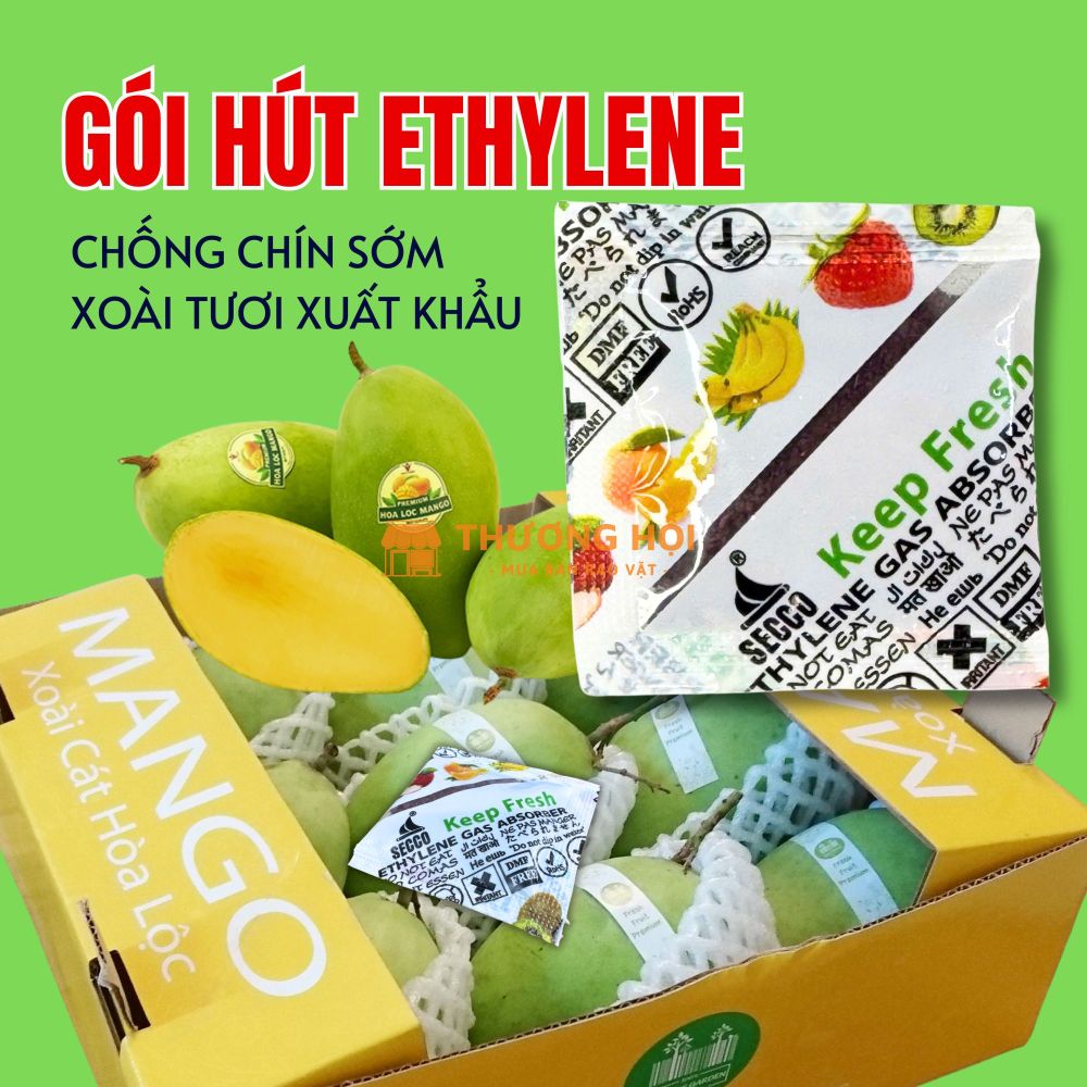 Cách sử dụng gói hút khí Ethylene Secco 5g hiệu quả cho Xoài