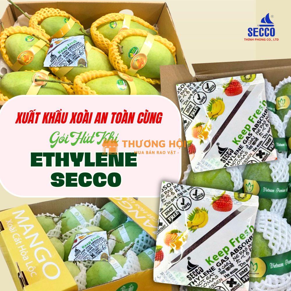 Làm thế nào để giữ Xoài tươi ngon suốt 30 ngày vận chuyển?