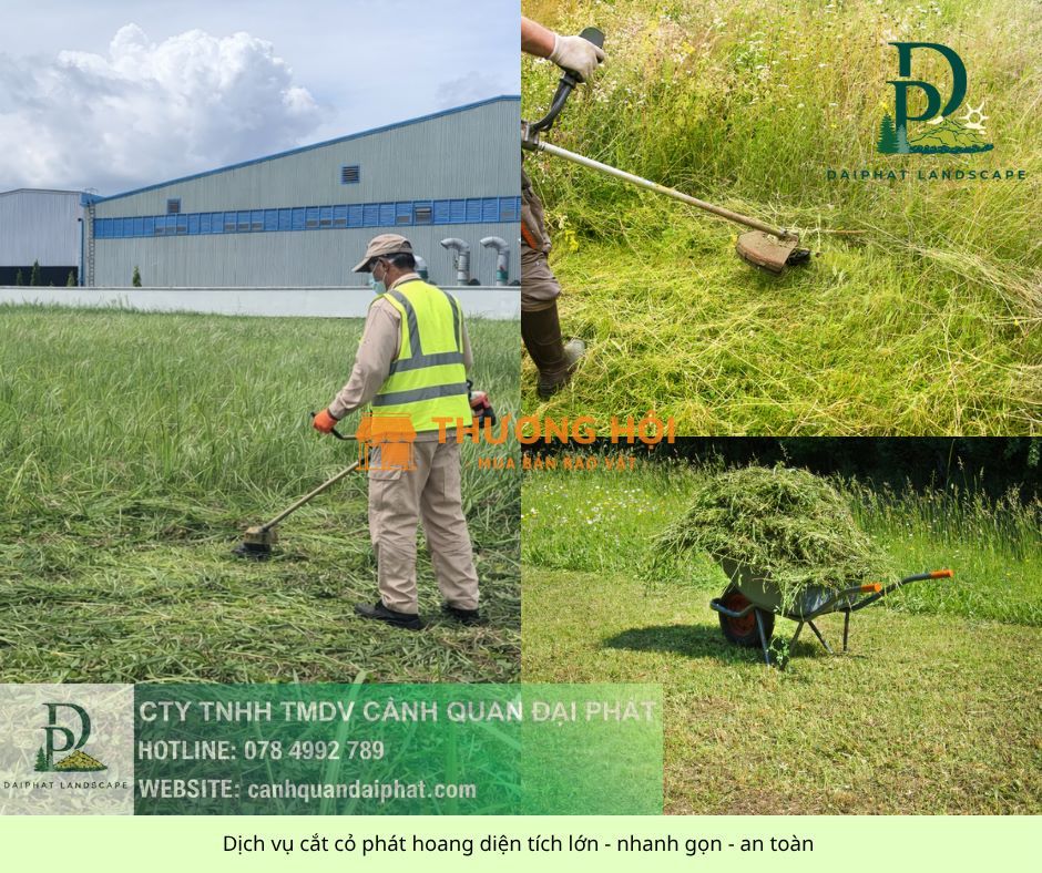 Dịch Vụ Cắt Cỏ, Cưa Cây KCN Long Khánh Đồng Nai Chuyên Nghiệp – Giá Tốt