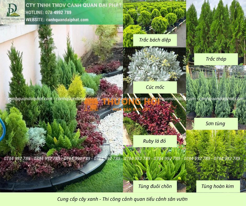 Thiết Kế Thi Công Tiểu Cảnh Sân Vườn Thảo Điền TP.HCM – Đẹp Hiện Đại, Đẳng Cấp