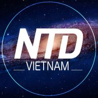 Trần Tâm Nhà Tuyển Dụng Việt Nam Group