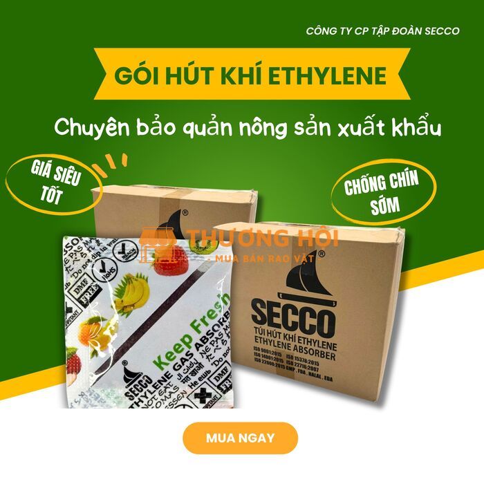 Bảo quản nông sản đi xa bằng gói hút ethylene – Giải pháp chống chín sớm tối ưu