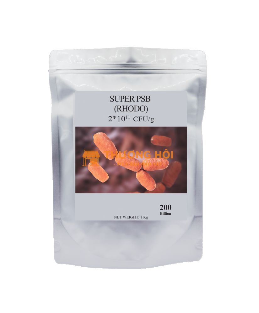 RHODO xử lý khí độc, tôm khoẻ