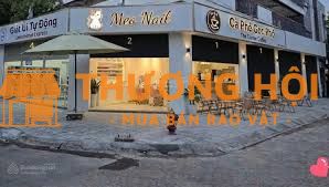 Cho thuê CHDV 106/39 Bình Lợi, Bình Lợi Trung, Nhà 3 mặt tiền 12m