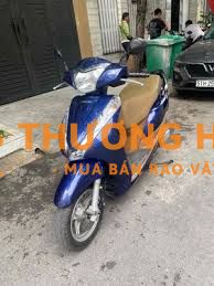 Honda Lead 125 2013 Xanh Nâu