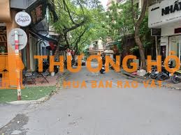 Cần bán nhà ngõ cù chính lan