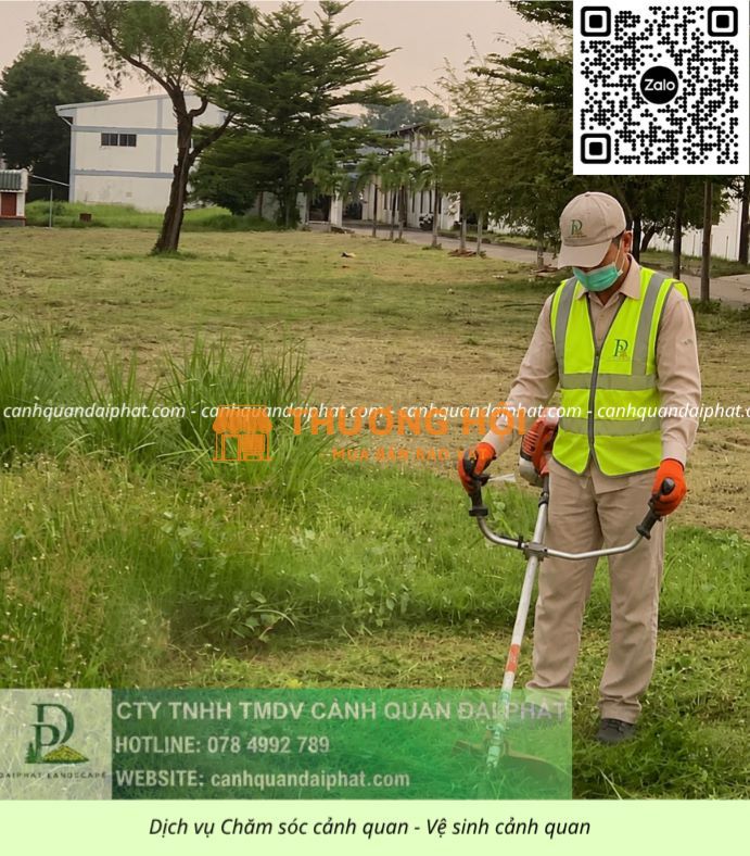 DỊCH VỤ CHĂM SÓC CẢNH QUAN – CẮT CỎ – TỈA CÂY TẠI BIÊN HÒA, ĐỒNG NAI