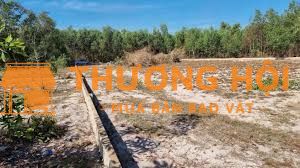 880 tr trọn sổ 1000m2 đất sạch 100% đường ô tô, sổ riêng Vĩnh Thanh củ