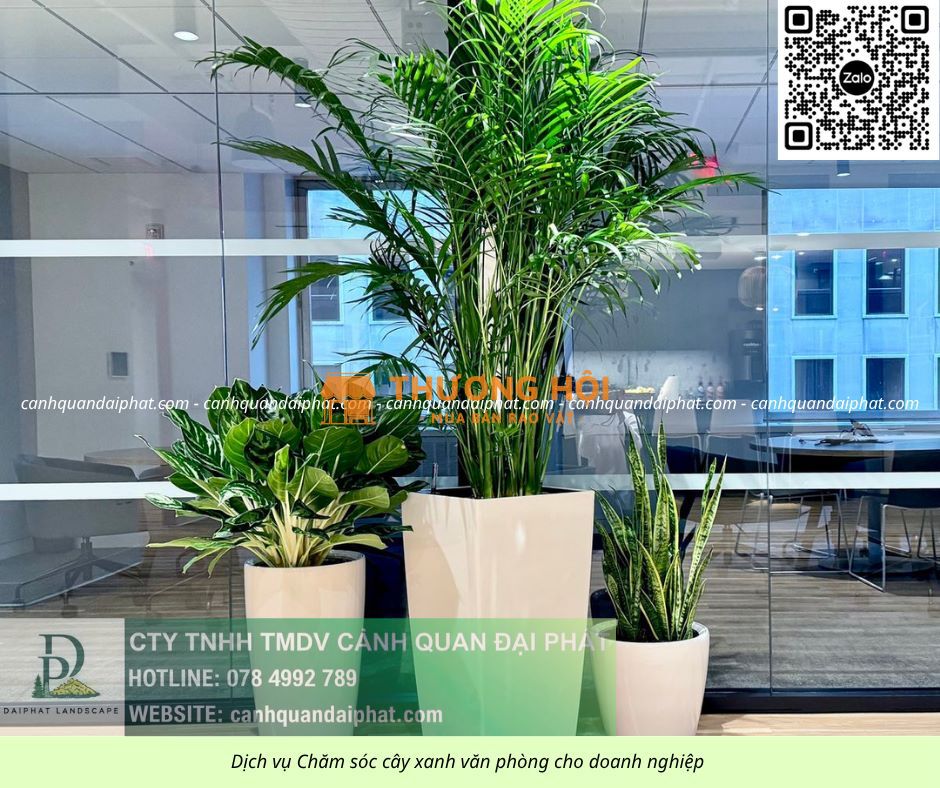 BÁO GIÁ CHĂM SÓC CÂY XANH VĂN PHÒNG – VỆ SINH VĂN PHÒNG, NHÀ XƯỞNG ĐỒNG NAI