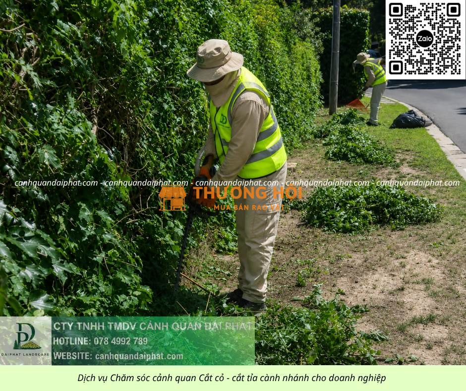CHĂM SÓC CÂY XANH – CẮT CỎ ĐỊNH KỲ DOANH NGHIỆP KCN NHƠN TRẠCH, ĐỒNG NAI