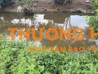 Cần bán 1000m đất giá 6tỷ ngay trung tâm xã đông thạnh hóc môn