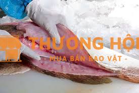 CẦN TUYỂN NHÂN VIÊN PHI LÊ ĐỒ TƯƠI SỐNG