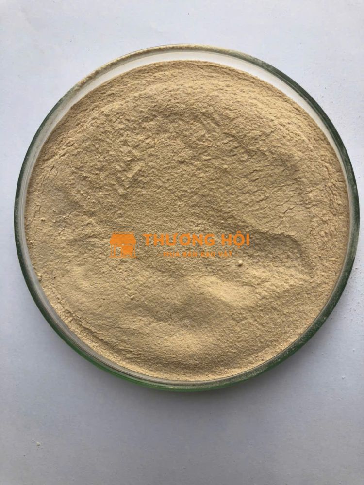 Men vi sinh đơn dòng bacillus licheniformis
